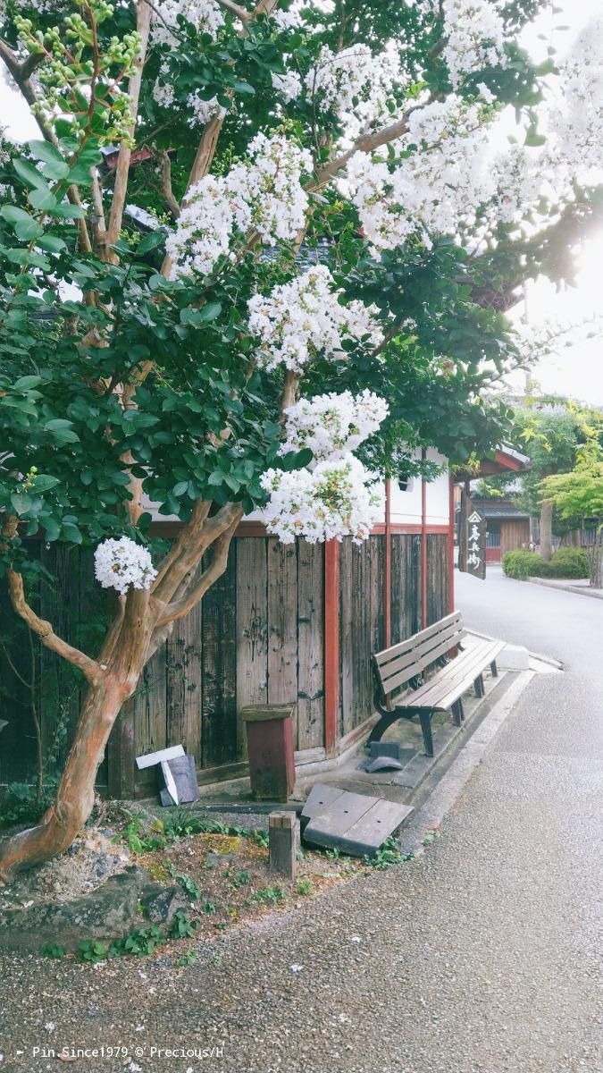 北國街道。隨流水小舟直登八幡山頂