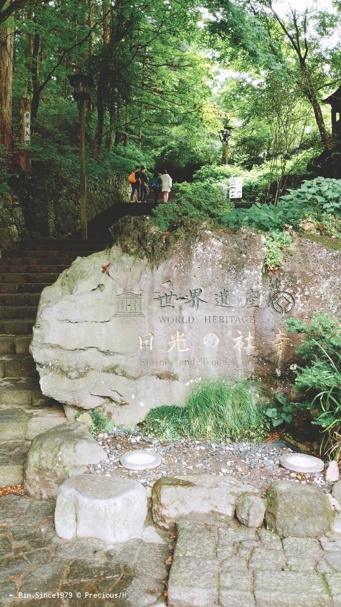 日光寺宇神社。滿山的參天古木