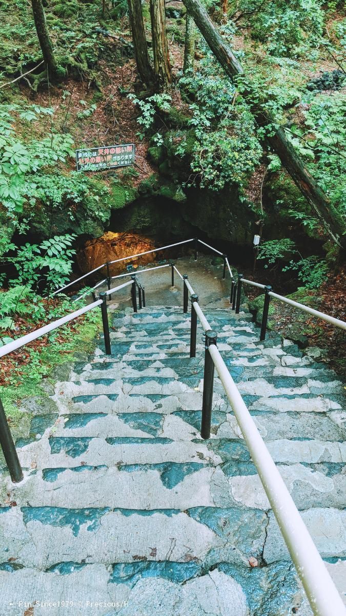 青木原樹海驚心。富岳風穴和鳴澤冰穴