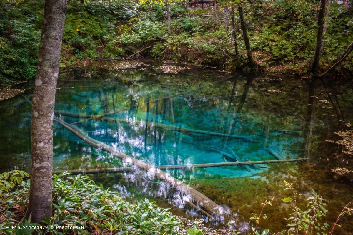 落入凡間的璀璨寶石。神の子池