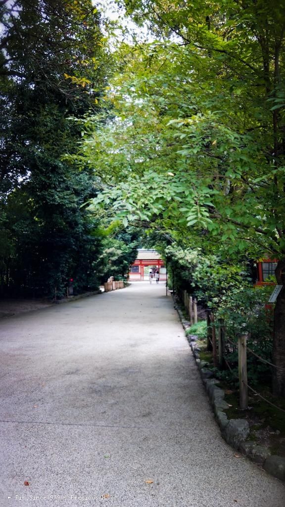 京都鴨川糺之森。賀茂御祖下鴨神社