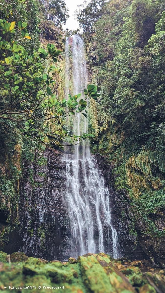 感受水氣縈繞自然洗禮。五峰旗瀑布健行步道