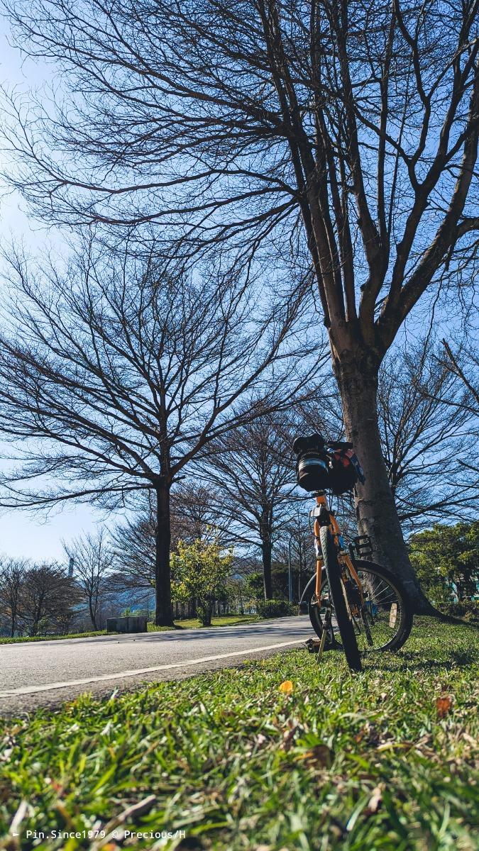 耳語┃單車說春日