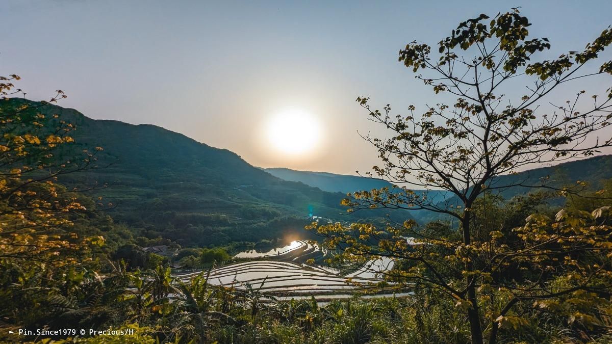 日暮水光繁花錦┃嵩山百年梯田